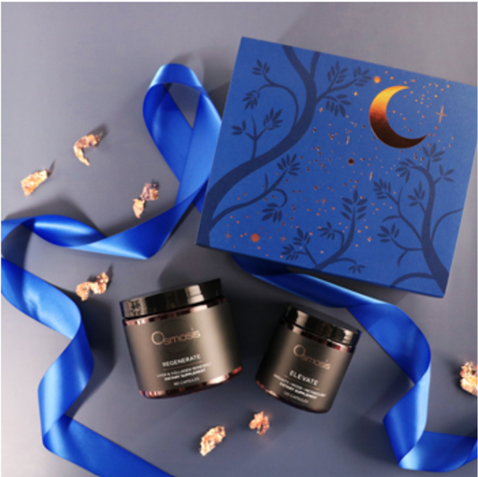 Gemini Alignment Wellness Kit