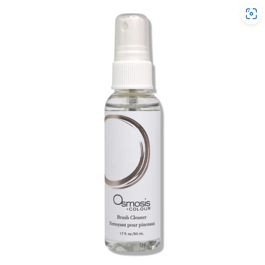 Brush Cleaner